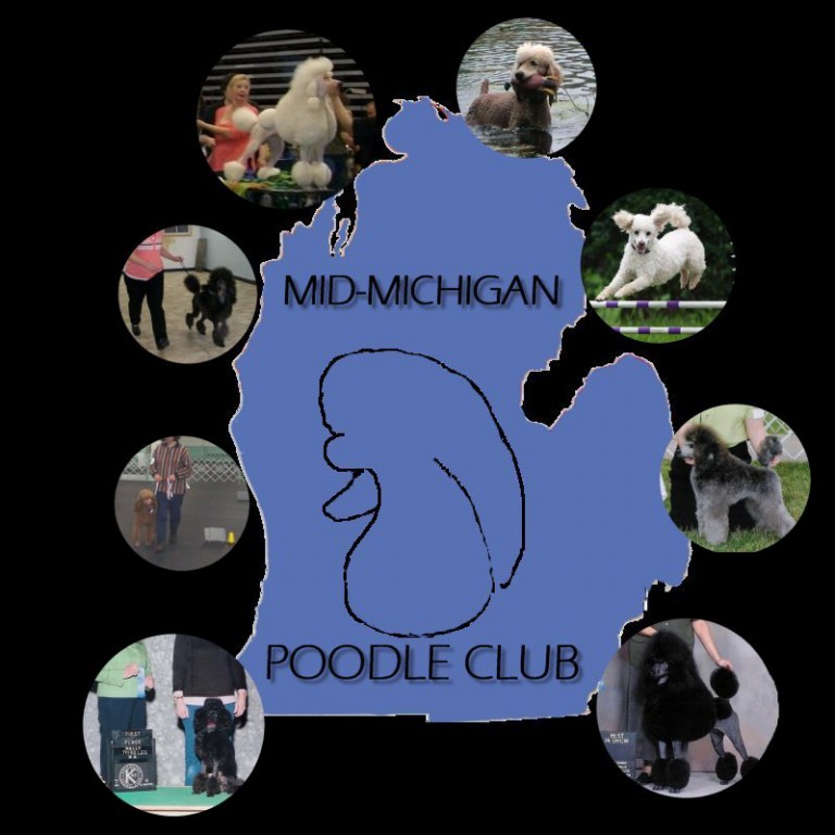 Michigan The Poodle Club of America