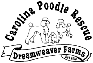 creole poodle club rescue