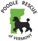 Poodle Rescue of Vermont