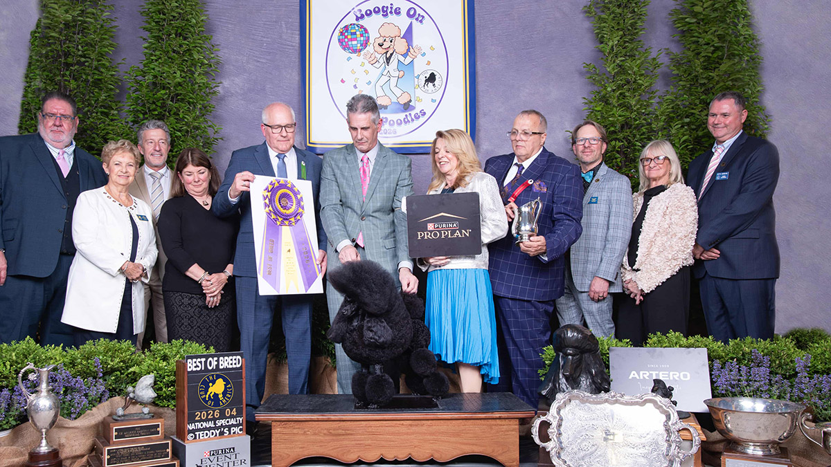 CH KARADALE THE LAST DANCE