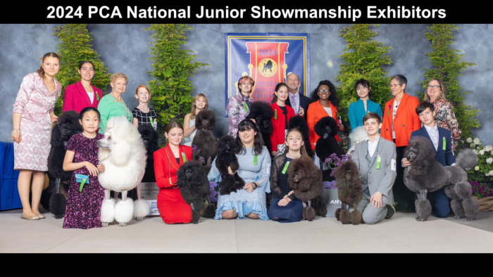 2024 PCA National Specialty Junior Showmanship Exhibitors