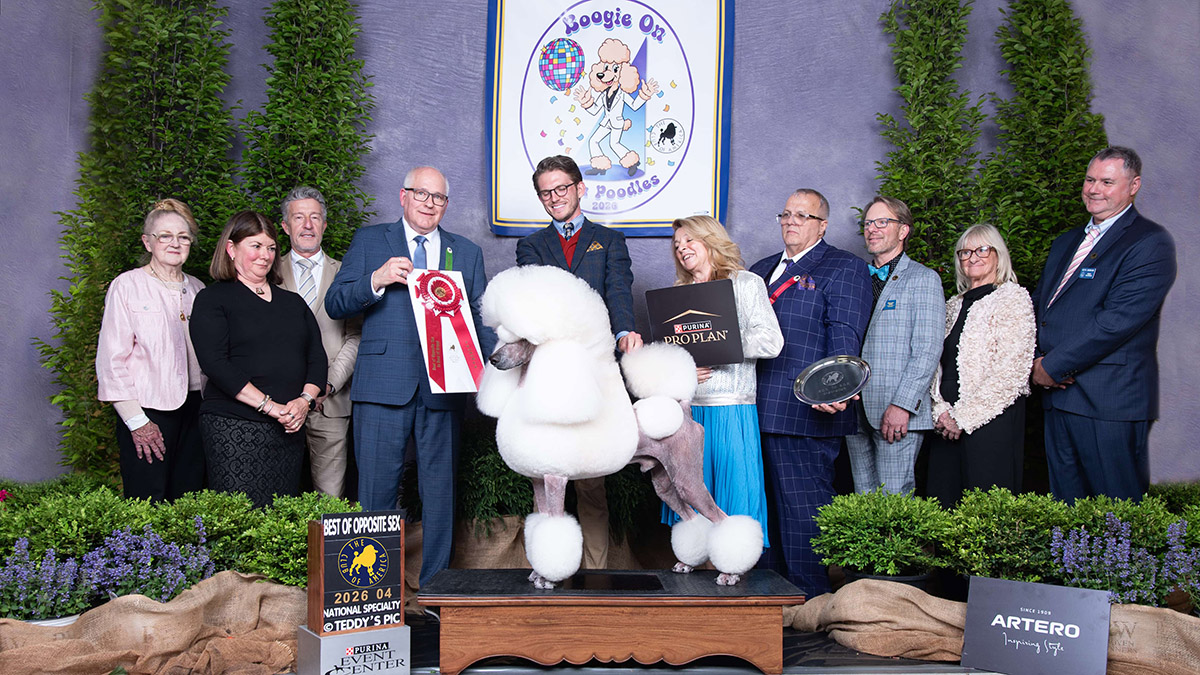 CH AVIATOR'S MIND THE GAP