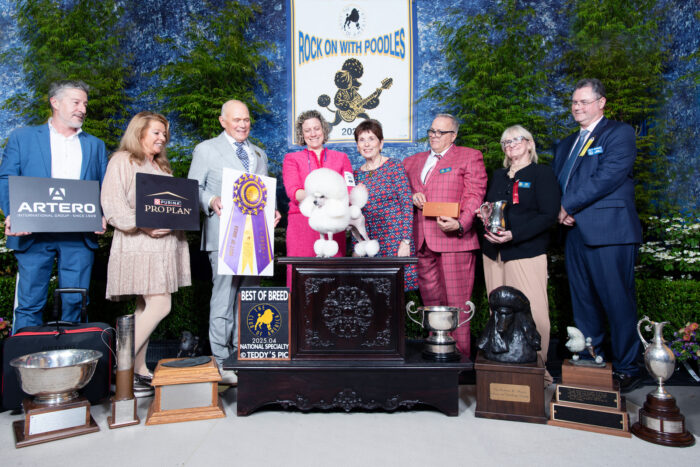 BEST OF BREED, (D)Toy Poodle
GCHS Rodells Steady As They Go, Connors/Shelley