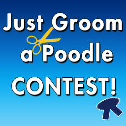 Just Groom A Poodle Contest