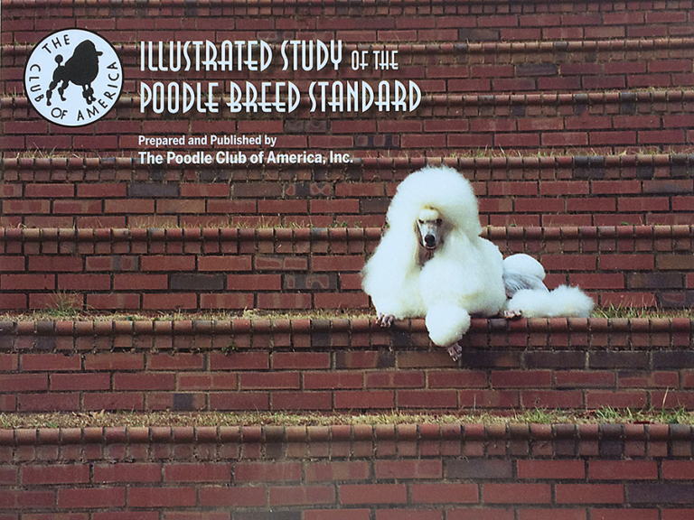 Illustrated Study of the Poodle Breed Standard The Poodle Club of America