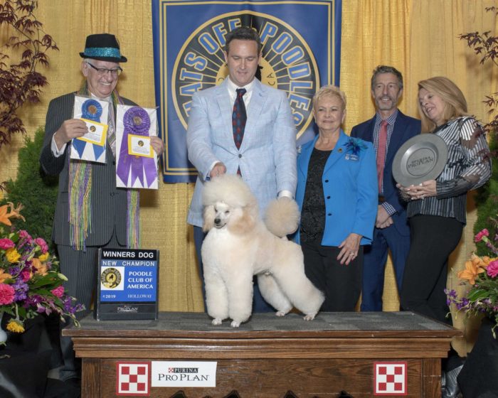 2019 pca national miniature winners dog