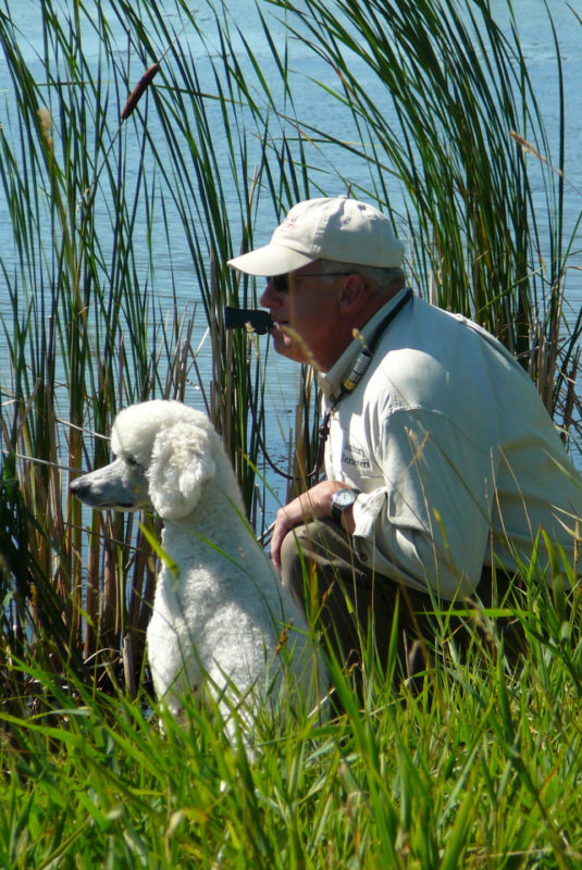 poodle and handler in duck blind